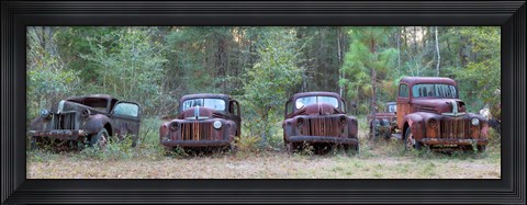 Framed Old rusty cars and trucks on Route 319, Crawfordville, Wakulla County, Florida, USA Print