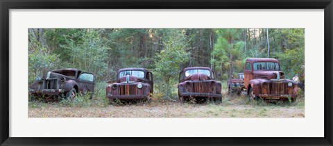 Framed Old rusty cars and trucks on Route 319, Crawfordville, Wakulla County, Florida, USA Print