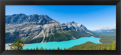 Framed Peyto Lake at Banff National Park, Alberta, Canada Print