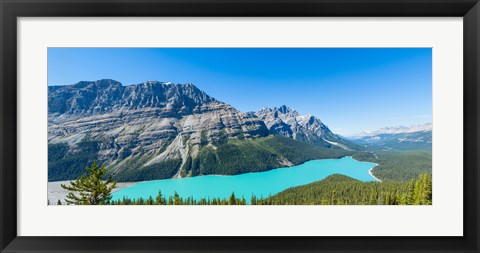 Framed Peyto Lake at Banff National Park, Alberta, Canada Print