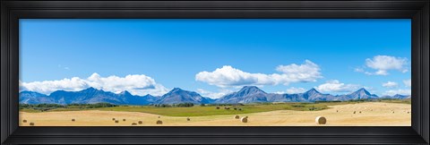 Framed Hay bales in a field with Canadian Rockies in the background, Alberta, Canada Print