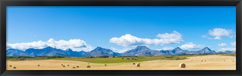 Framed Hay bales in a field with Canadian Rockies in the background, Alberta, Canada Print