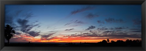 Framed Silhouette of trees at sunset, Todos Santos, Baja California, Mexico Print