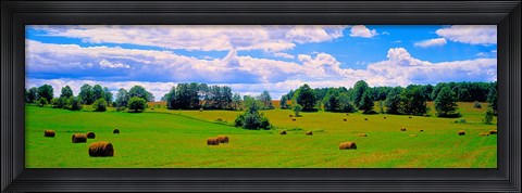 Framed Hay bales in a landscape, Michigan, USA Print