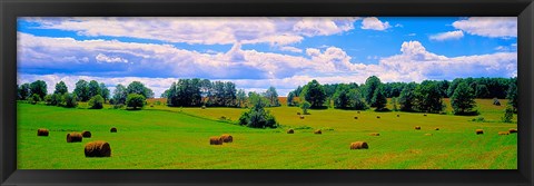 Framed Hay bales in a landscape, Michigan, USA Print