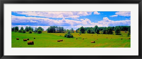 Framed Hay bales in a landscape, Michigan, USA Print