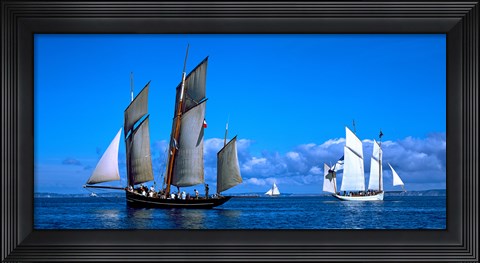 Framed Tall ship regatta featuring Cancalaise and Granvillaise, Baie De Douarnenez, Finistere, Brittany, France Print