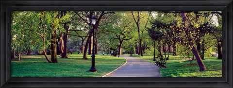 Framed Trees in a public park, Central Park, Manhattan, New York City, New York State, USA Print