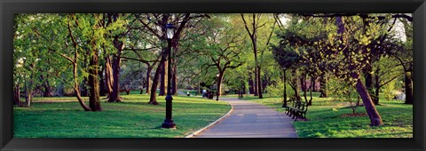 Framed Trees in a public park, Central Park, Manhattan, New York City, New York State, USA Print