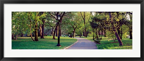 Framed Trees in a public park, Central Park, Manhattan, New York City, New York State, USA Print