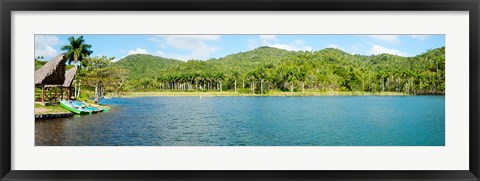 Framed Trees on a hill, Las Terrazas, Pinar Del Rio Province, Cuba Print