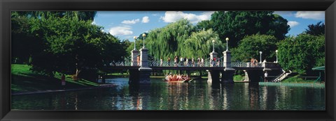 Framed Swan boat in the pond at Boston Public Garden, Boston, Massachusetts, USA Print