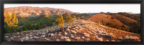 Framed Arkaba Station at sunset, Flinders Ranges, South Australia, Australia Print