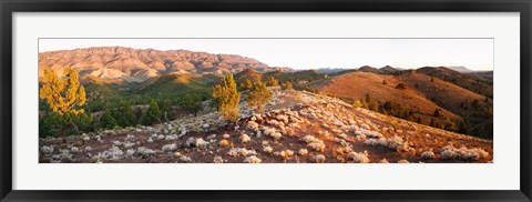 Framed Arkaba Station at sunset, Flinders Ranges, South Australia, Australia Print