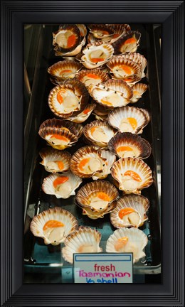 Framed Tasmanian oysters for sell in the Central Market, Adelaide, South Australia, Australia Print