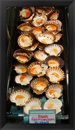 Framed Tasmanian oysters for sell in the Central Market, Adelaide, South Australia, Australia Print