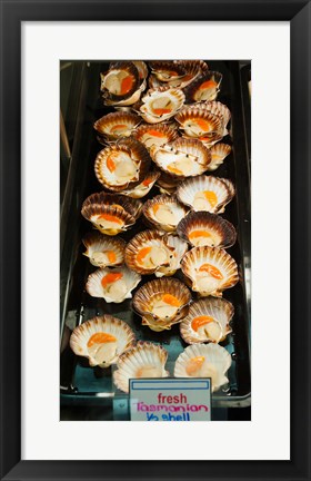 Framed Tasmanian oysters for sell in the Central Market, Adelaide, South Australia, Australia Print