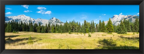 Framed Trees with mountain range in the background, Banff National Park, Alberta, Canada Print