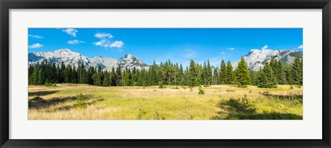 Framed Trees with mountain range in the background, Banff National Park, Alberta, Canada Print