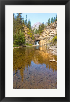 Framed Flowing stream in a forest, Banff National Park, Alberta, Canada Print