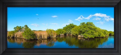 Framed Reflection of trees in a lake, Big Cypress Swamp National Preserve, Florida, USA Print
