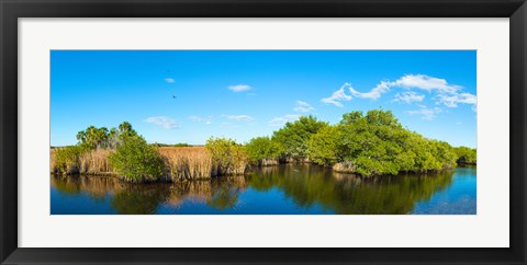 Framed Reflection of trees in a lake, Big Cypress Swamp National Preserve, Florida, USA Print