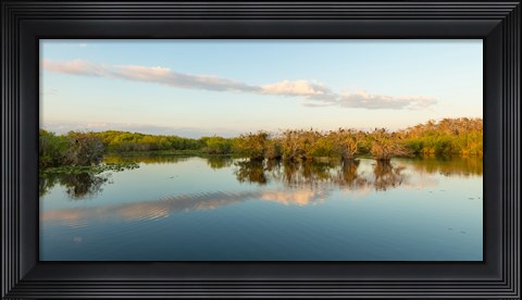 Framed Anhinga Trail, Everglades National Park, Florida Print