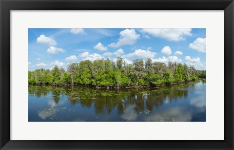 Framed Reflection of trees in the river, Hillsborough River, Lettuce Lake Park, Hillsborough County, Florida, USA Print