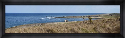 Framed Grass on the beach, Havana, Cuba Print