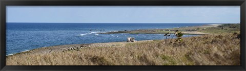 Framed Grass on the beach, Havana, Cuba Print