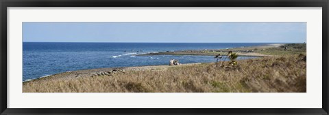 Framed Grass on the beach, Havana, Cuba Print