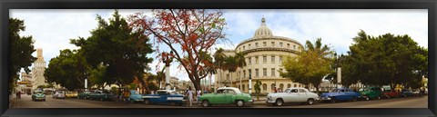 Framed Vintage cars parked on a street, Havana, Cuba Print