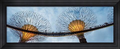 Framed Elevated walkway among Supertrees, Gardens by the Bay, Singapore Print