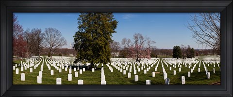 Framed Headstones in a cemetery, Arlington National Cemetery, Arlington, Virginia, USA Print
