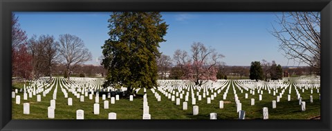 Framed Headstones in a cemetery, Arlington National Cemetery, Arlington, Virginia, USA Print