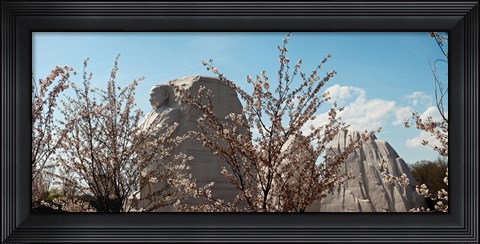 Framed Cherry trees in front of a memorial, Martin Luther King Jr. National Memorial, Washington DC, USA Print