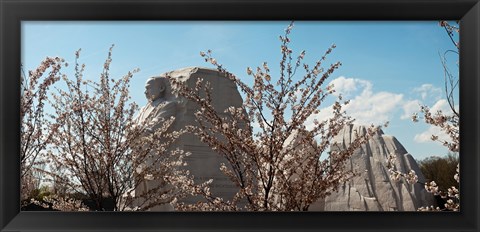 Framed Cherry trees in front of a memorial, Martin Luther King Jr. National Memorial, Washington DC, USA Print