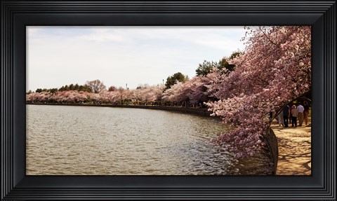 Framed Tidal Basin, Washington DC Print