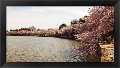 Framed Tidal Basin, Washington DC Print