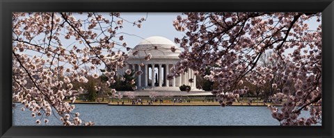 Framed Cherry Blossom trees in the Tidal Basin with the Jefferson Memorial in the background, Washington DC Print