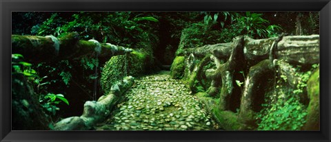 Framed Wooden bridge in the subtropical forest, Parque Lage, Jardim Botanico, Corcovado, Rio de Janeiro, Brazil Print