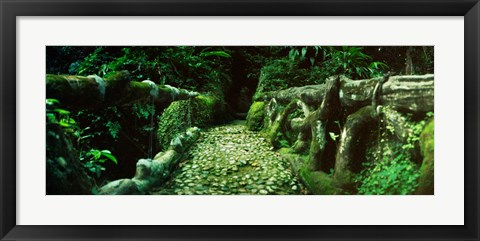 Framed Wooden bridge in the subtropical forest, Parque Lage, Jardim Botanico, Corcovado, Rio de Janeiro, Brazil Print