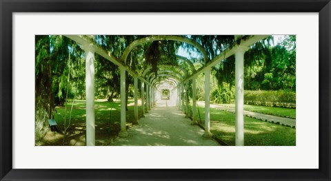 Framed Pathway in a botanical garden, Jardim Botanico, Zona Sul, Rio de Janeiro, Brazil Print