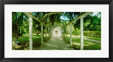 Framed Pathway in a botanical garden, Jardim Botanico, Zona Sul, Rio de Janeiro, Brazil Print