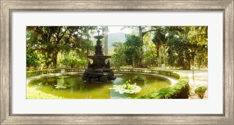 Framed Fountain in a botanical garden, Jardim Botanico, Corcovado, Rio de Janeiro, Brazil Print