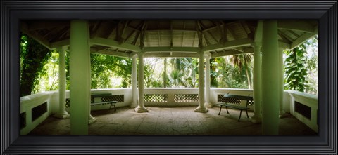 Framed Canopy in the botanical garden, Jardim Botanico, Zona Sul, Rio de Janeiro, Brazil Print