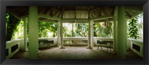 Framed Canopy in the botanical garden, Jardim Botanico, Zona Sul, Rio de Janeiro, Brazil Print