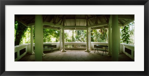 Framed Canopy in the botanical garden, Jardim Botanico, Zona Sul, Rio de Janeiro, Brazil Print