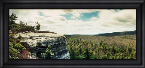 Framed Forest of trees, Gertrude's Nose, Minnewaska State Park, Catskill Mountains, New York State, USA Print