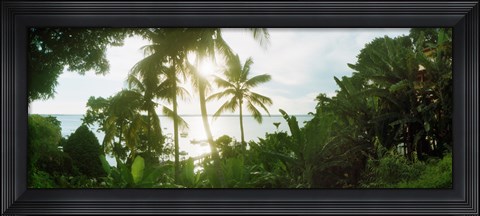 Framed Palm trees in the forest at coast, Morro De Sao Paulo, Tinhare, Cairu, Bahia, Brazil Print